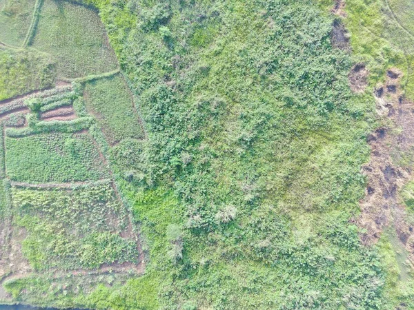 Воздушный Обзор Наземного Картографирования Беспилотным Летательным Аппаратом Богоре Индонезия — стоковое фото
