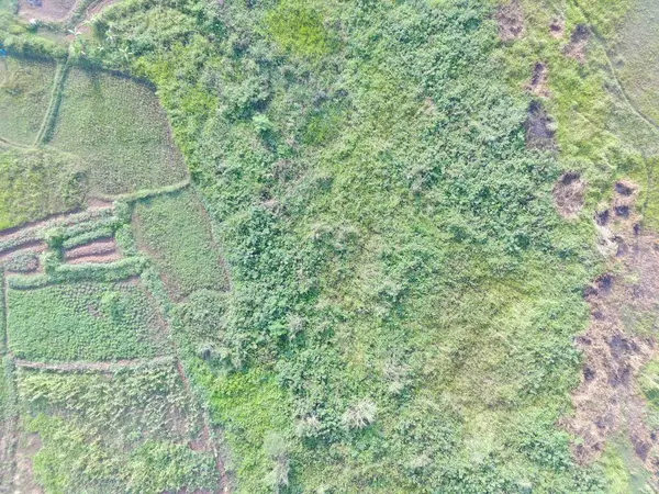 Aerial View Land Mapping Unmaned Aerial Vehicle Bogor Indonesia — Stock Fotó