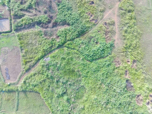 Vista Aérea Cartografía Del Terreno Por Vehículo Aéreo Tripulado Bogor — Foto de Stock