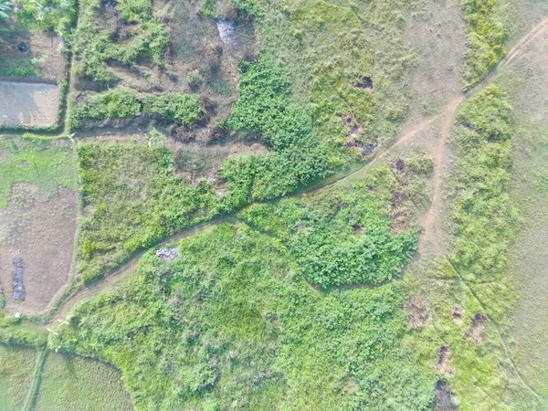 Vista Aérea Cartografía Del Terreno Por Vehículo Aéreo Tripulado Bogor — Foto de Stock