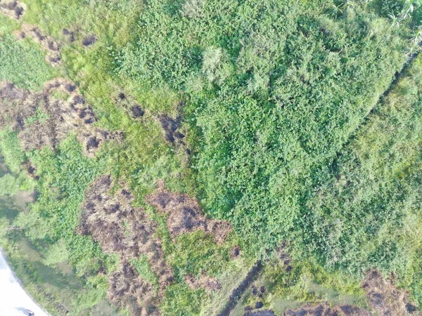インドネシアのボゴールで無人航空機による土地マッピングの空中ビュー ストック画像