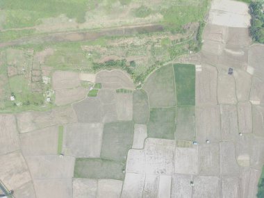 aerial view of various rice fields pattern side by side with local residents houses.