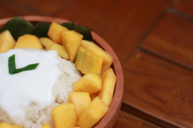 a close up of mango sticky rice with savory coconut milk gravy. Thai food concept photo.