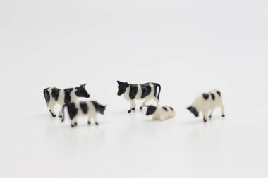a close up of miniature figures of a herd of cows isolated on white background. Miniature figure photo concept.