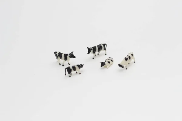 Close Miniature Figures Herd Cows Isolated White Background Miniature Figure — Stockfoto