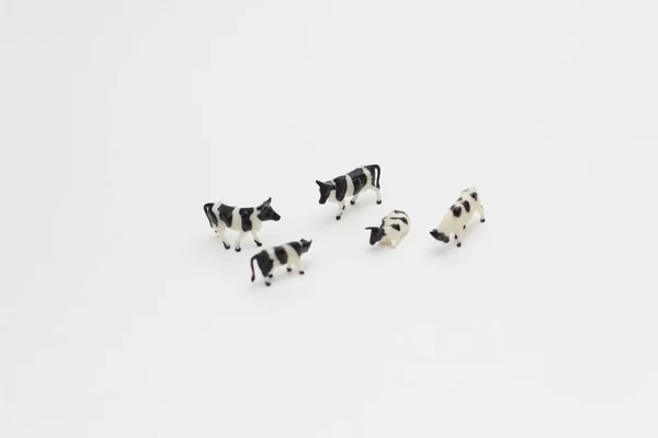 Close Figuras Miniatura Uma Manada Vacas Isoladas Sobre Fundo Branco — Fotografia de Stock
