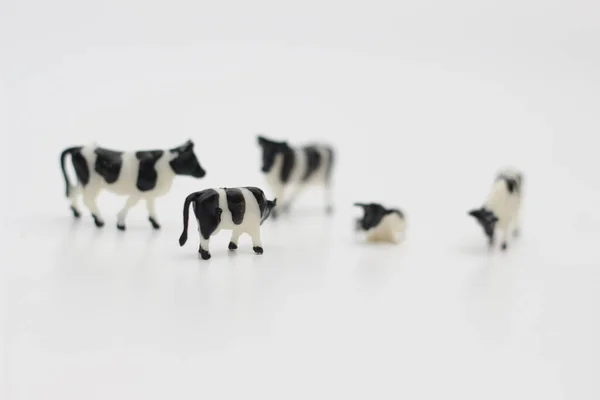 Zbliżenie Miniaturowych Figur Stada Krów Odizolowanych Białym Tle Koncepcja Miniaturowego — Zdjęcie stockowe