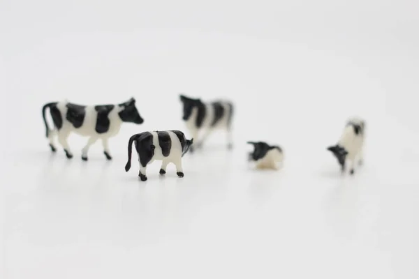 Close Figuras Miniatura Uma Manada Vacas Isoladas Sobre Fundo Branco — Fotografia de Stock