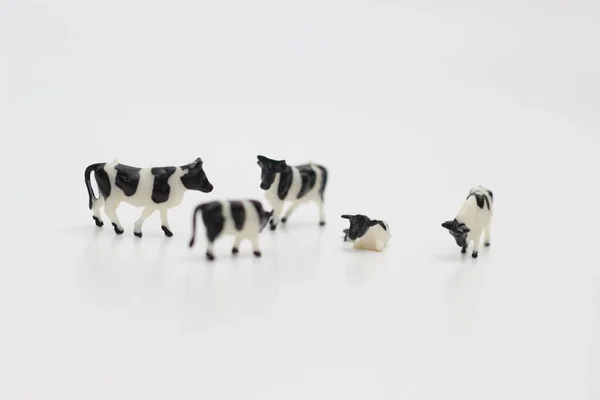 Närbild Miniatyrfigurer Flock Kor Isolerade Vit Bakgrund Miniatyr Figur Foto — Stockfoto