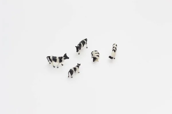 Närbild Miniatyrfigurer Flock Kor Isolerade Vit Bakgrund Miniatyr Figur Foto — Stockfoto