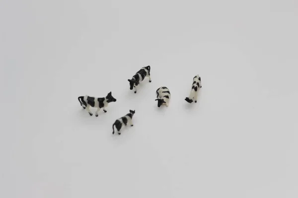 Close Miniature Figures Herd Cows Isolated White Background Miniature Figure — Zdjęcie stockowe