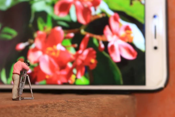 Uma Figura Miniatura Videógrafo Filmando Flores Telefone Celular — Fotografia de Stock