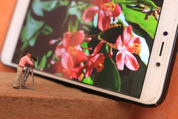 Uma Figura Miniatura Videógrafo Filmando Flores Telefone Celular — Fotografia de Stock