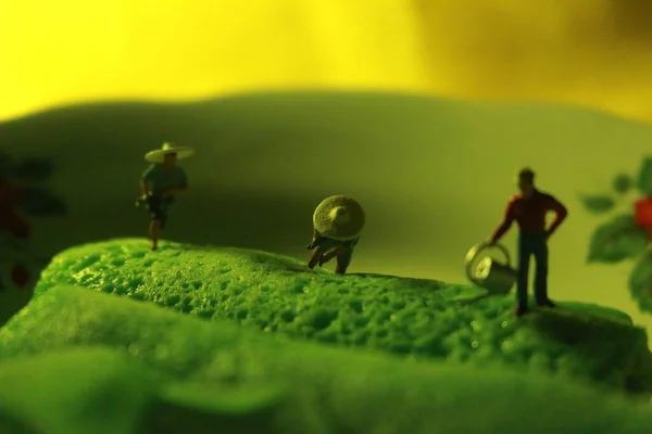 Мініатюрні Фігури Фермерів Роботі Над Зеленими Млинцями Концепція Сільського Господарства — стокове фото