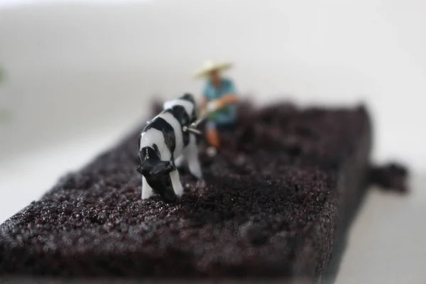 Μινιατούρα Ενός Αγρότη Σαν Ήταν Οργώνοντας Ένα Κέικ Σοκολάτας Σφουγγάρι — Φωτογραφία Αρχείου