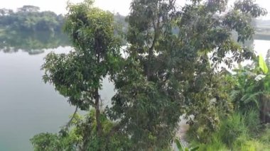 4K footage aerial view of Dahamilnuris lake.