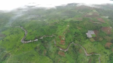 4K görüntüsü sisli bir sabahta çay tarlalarının havadan görüntüsü. Doğal manzara görüntüsü konsepti.