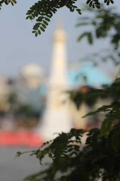 โยกาการ นโดน นาคม 2023 คจา จากข างถนน เบลอๆ โฟก อกไว — ภาพถ่ายสต็อก