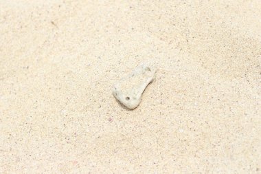 Sahilin ortasındaki deniz mercanı kayaları, doğal doku arka planı..