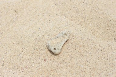 Sahilin ortasındaki deniz mercanı kayaları, doğal doku arka planı..