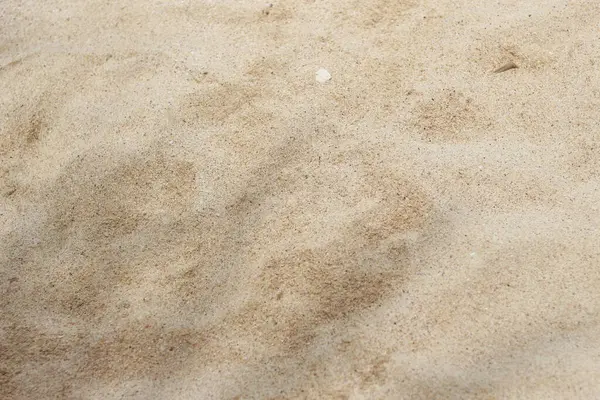 Plaj kumlarının fotoğrafı. Doğal doku arkaplanı.