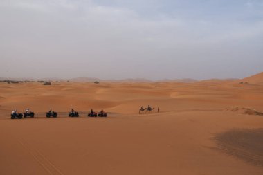 Fas Sahra 'sında Dromedary Karavanı