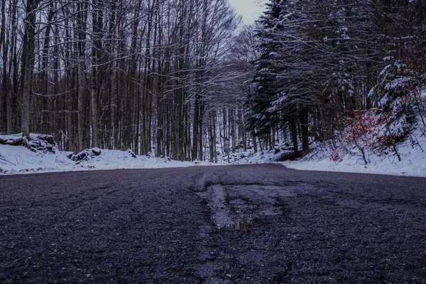 low perspective of empty country road in winter