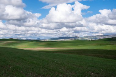 Tuscan Hills Manzarası: Green Hills, Blue Sky ve Sunshine