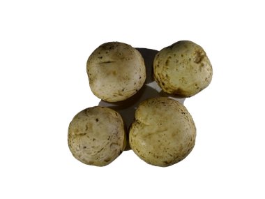 Mushroom Boletus cover White Background from indonesia