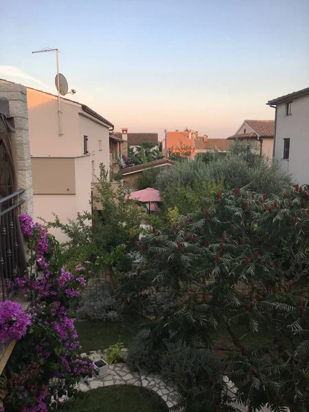 View to the cozy yards and roof of the buildings with many plants, flowers and trees in the area Cocaletto in Rovinj, Croatia.