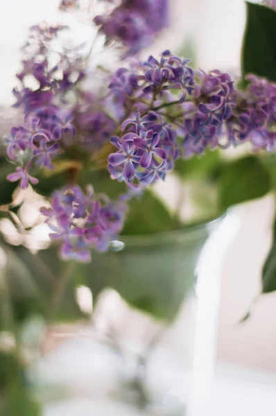 Garden lilacs in a vase closeup.
