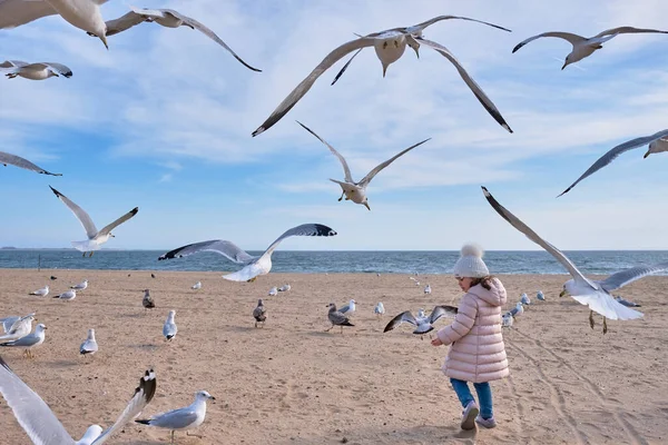 Pretty Young Girl Surrounded Seagulls Flight — Stock Photo, Image