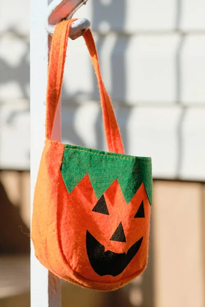 Halloween themed bag hanging in the backyard