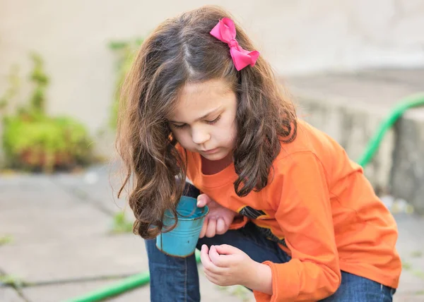 Kislány Játszik Vödör Növény Magok Kertben — Stock Fotó