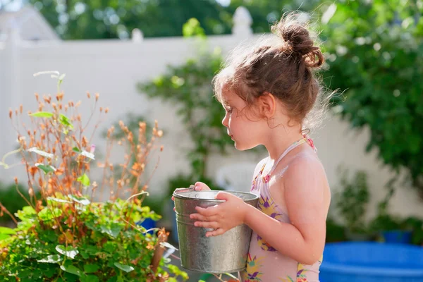 Aranyos Fiatal Lány Öntözés Növények Egy Vödör Egy Nyári Napon — Stock Fotó
