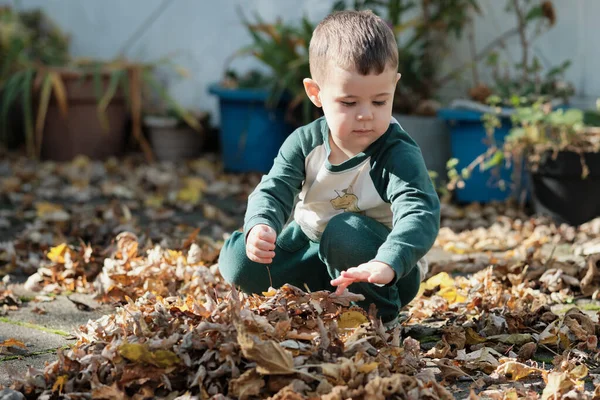 Νεαρό Αγόρι Που Παίζει Πεσμένα Φύλλα Στην Πίσω Αυλή Ένα — Φωτογραφία Αρχείου