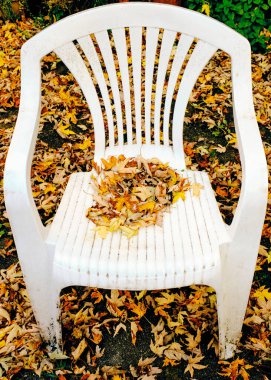 Sonbaharda dökülen yapraklar arka bahçedeki eski plastik şezlongda toplanır.