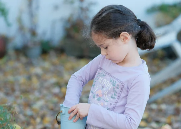 Νεαρό Κορίτσι Μαζεύει Πεσμένα Φύλλα Ένα Μικρό Μπλε Κουβά Ενώ — Φωτογραφία Αρχείου