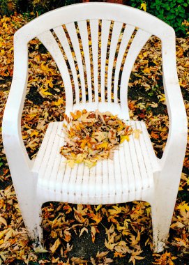 Sonbaharda dökülen yapraklar arka bahçedeki eski plastik şezlongda toplanır.