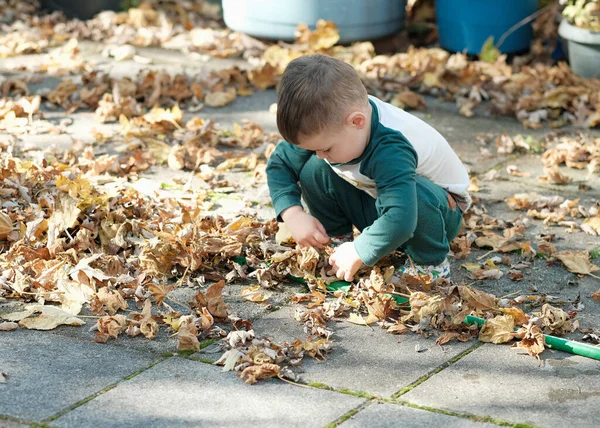 Fiatal Fiú Játszik Lehullott Levelek Kertben Egy Meleg Őszi Délután — Stock Fotó