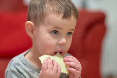 Kanepenin yanında televizyon izlerken evde peynir yiyen tatlı çocuk.