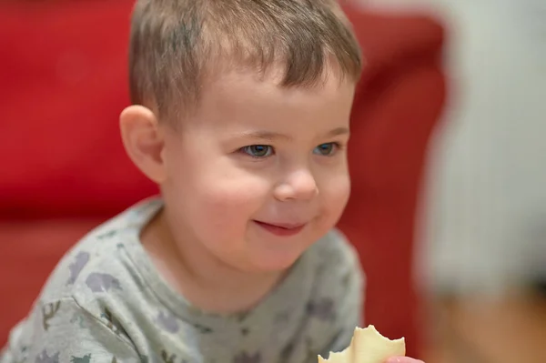 Słodkie Młody Chłopiec Jedzenie Ser Domu Podczas Oglądania Telewizji Obok — Zdjęcie stockowe