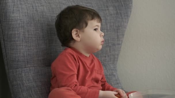Wyraźny Młody Chłopiec Jedzący Pomidory Wiśniowe Siedząc Dużym Fotelu — Wideo stockowe