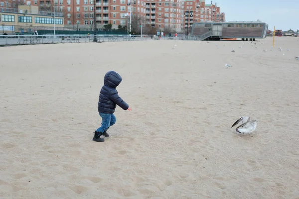 Young Boy Chasing Birds Beach — Stock Photo, Image