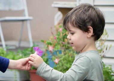 Meraklı çocuk arka bahçede mor bir çiçekle oynuyor.