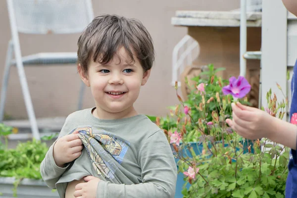 裏庭に紫色の花で遊んでいる兄弟 — ストック写真