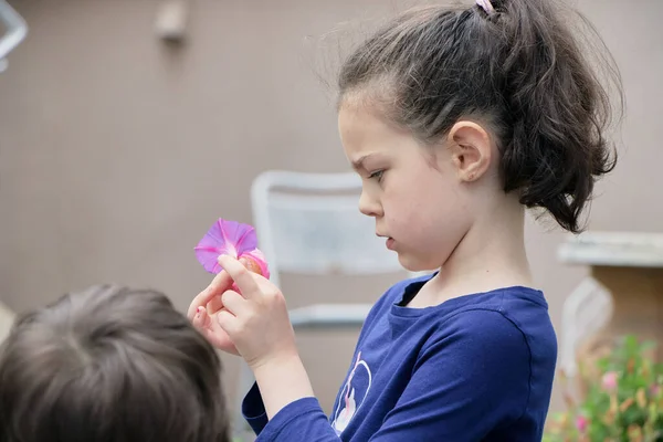Περίεργη Νεαρή Κοπέλα Παίζει Ένα Μωβ Λουλούδι Στην Πίσω Αυλή — Φωτογραφία Αρχείου
