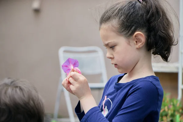 Kíváncsi Fiatal Lány Játszik Egy Lila Virág Kertben — Stock Fotó