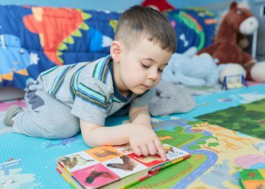 cute young boy reading a book with animal picutres