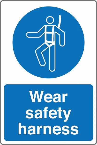 Стандарты Маркировки Знаков Безопасности Обязательно Носите Ремни Безопасности — стоковый вектор